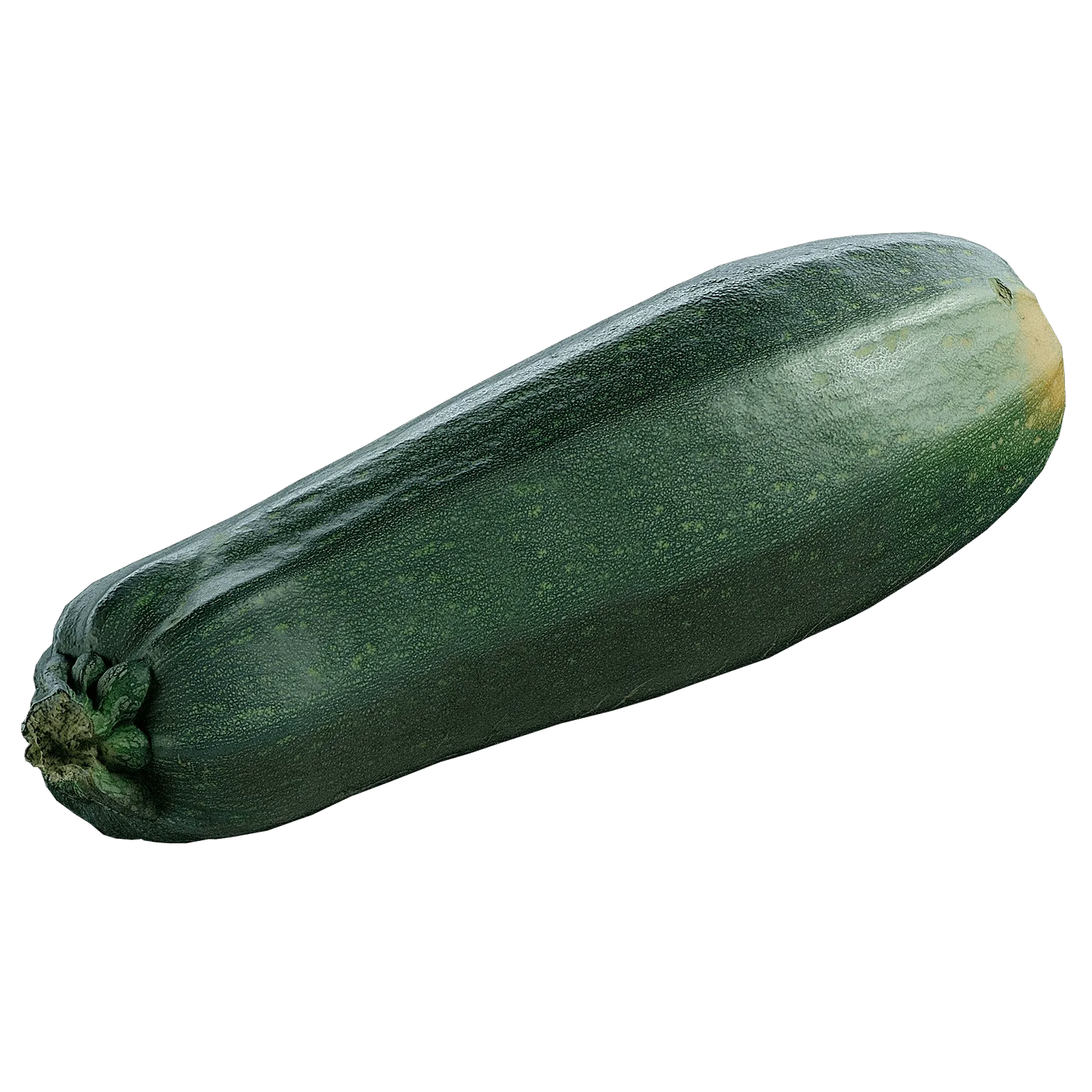 Zucchini